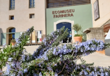 Fotografia façana Ecomusue Farinera amb romaní